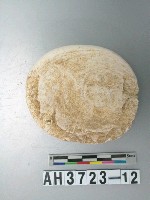 藏品(小型螺蓋製貝刮器)的圖片